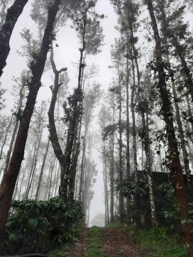 Coorg Happy Estate Stay 마디케리 외부 사진